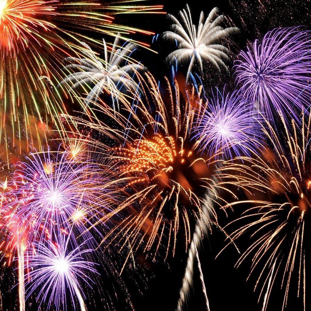 Forest Firework Night