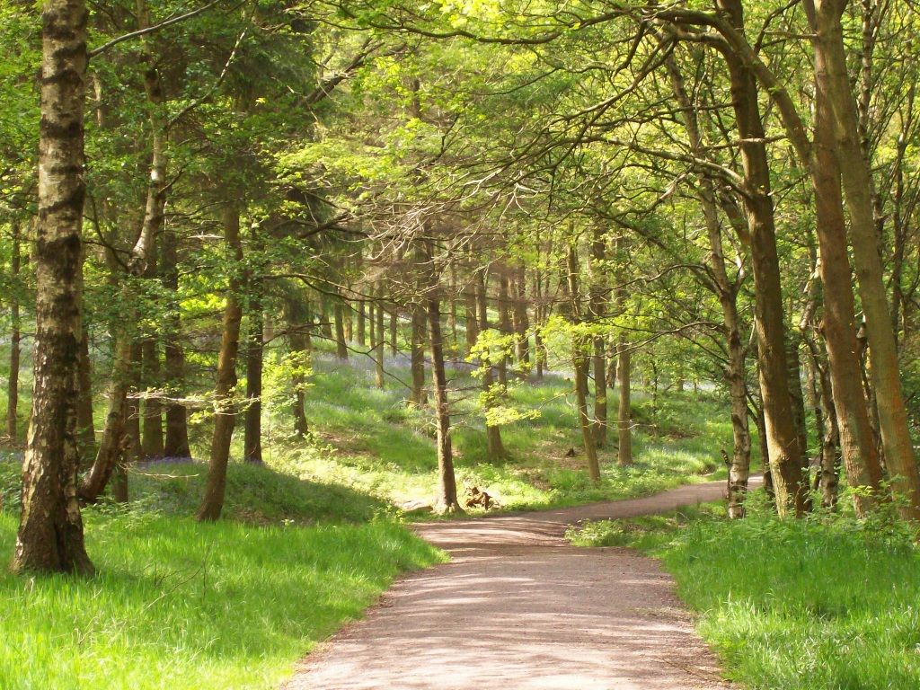 Visit the Woodland Trust this May