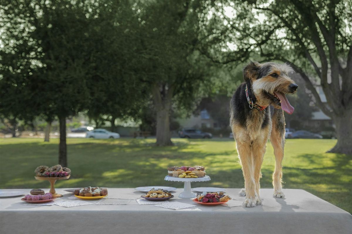 Three Dog Bakery Dog Pawty