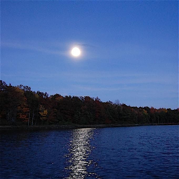 Full Moon Hikes