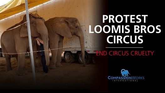 Gaffney, SC: Loomis Bros Circus Protest