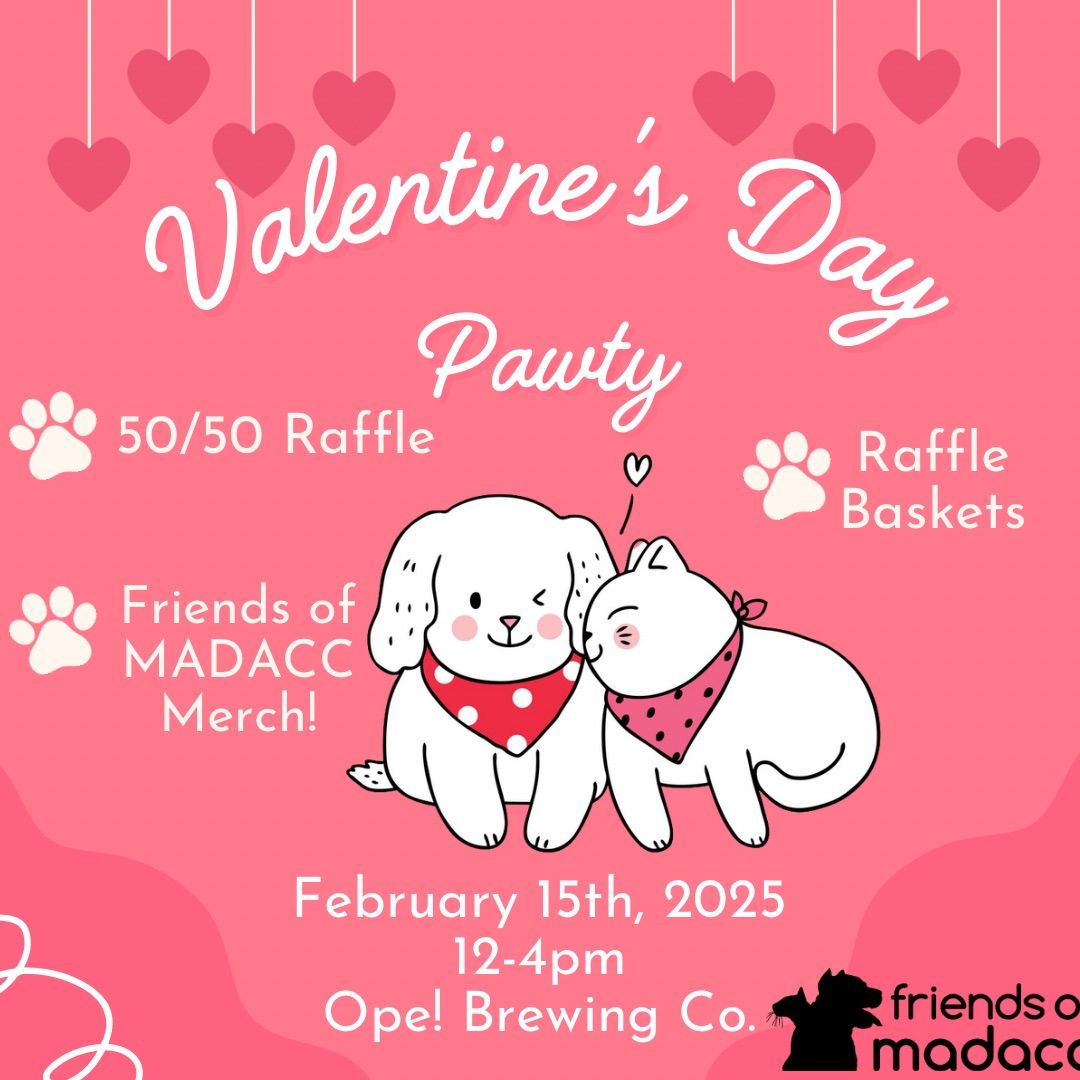 Friends at MADACC - Valentine's Event