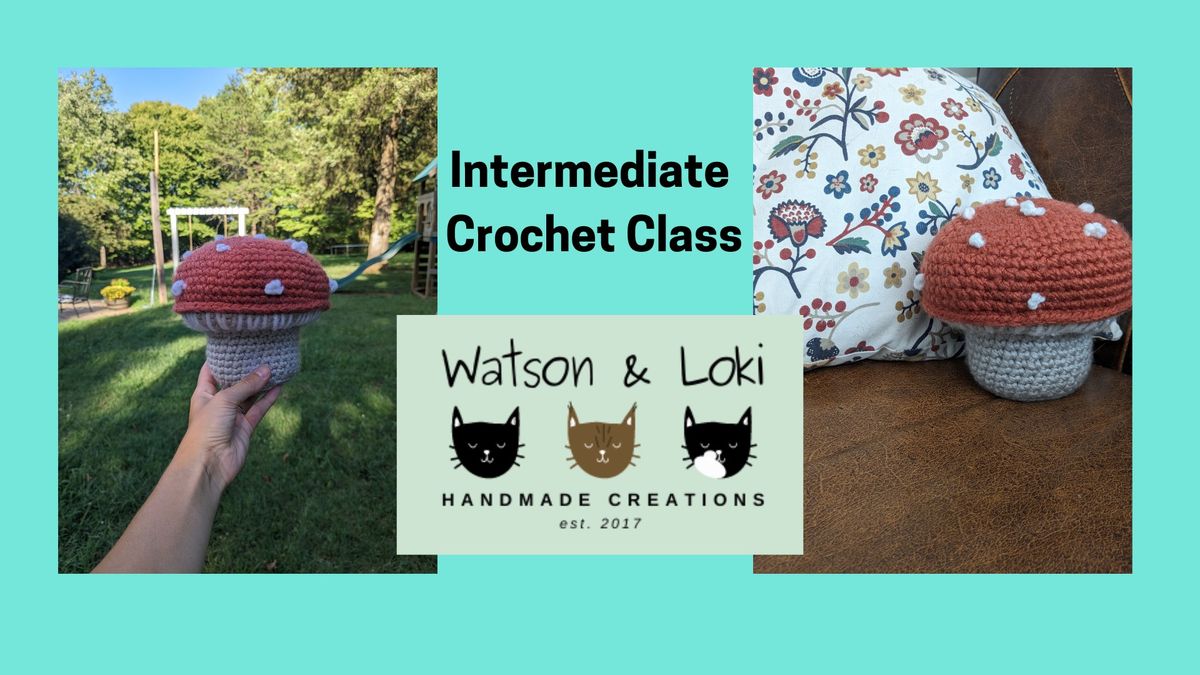 Intermediate Crochet Class