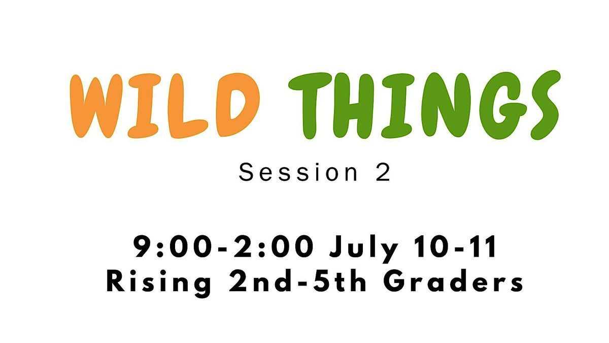 Wild Things Summer Camp Session 2