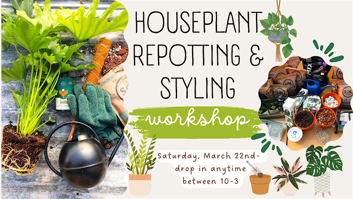 Houseplant Repotting & Styling Workshop