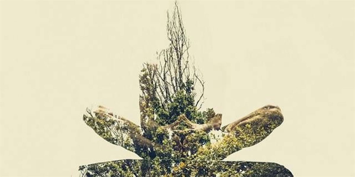 Sacred Mornings: Yoga in the Park at Rood Bridge