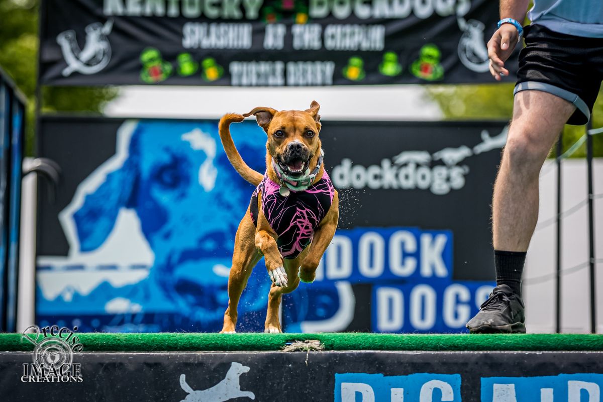 DockDogs\u00ae at Pups in the Park