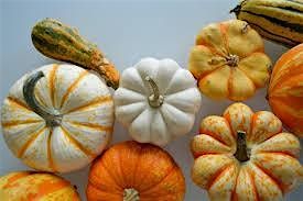 Pumpkin Painting at HYGGE Pounds Park