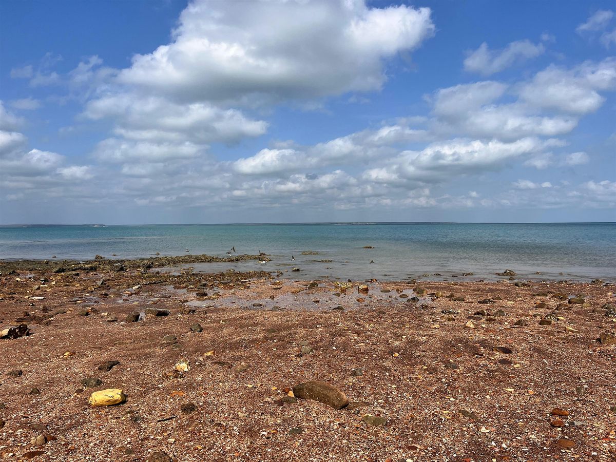Field Trip | Mapping Microplastics