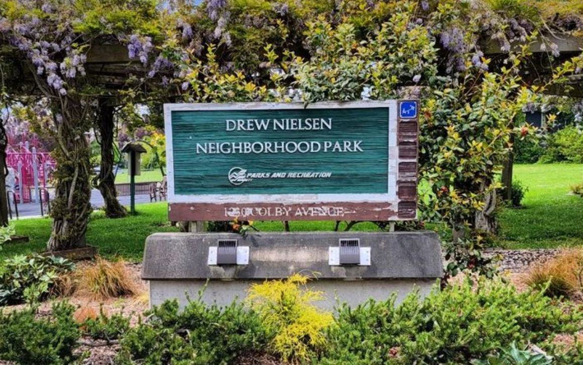 Drew Nielsen Park weeding and pruning day!