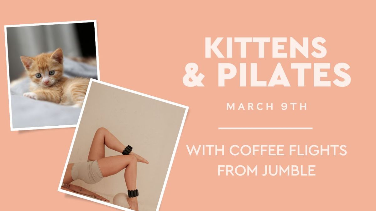 Kittens & Pilates w\/ Coffee Flights from Jumble