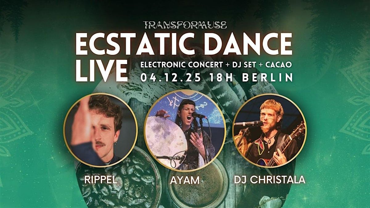 Ecstatic Dance & Cacao & Electronic Live Concert by TransForMuse & Rippel