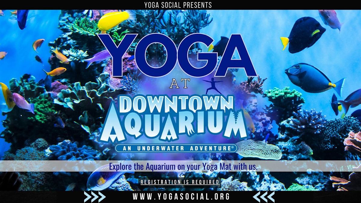 Yoga at the Downtown Aquarium in Denver with Yoga Social