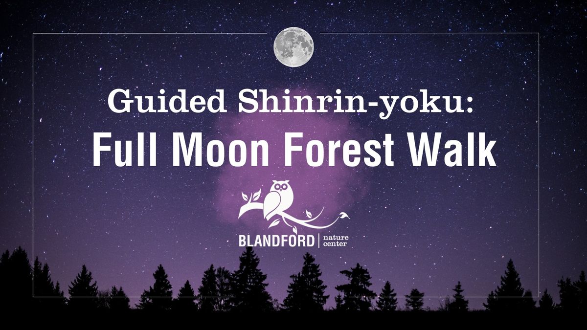 (SOLD OUT) Guided Shinrin-Yoku: Full Moon Forest Walk