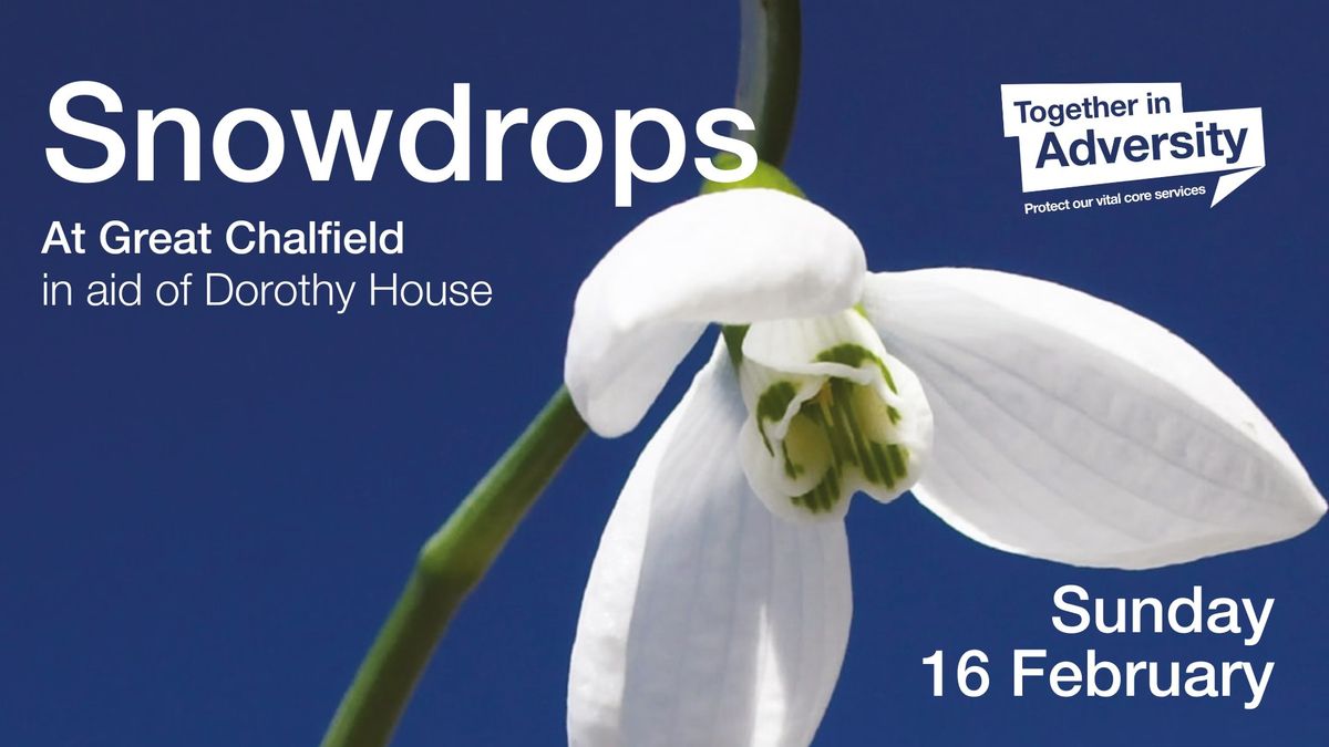 Snowdrops