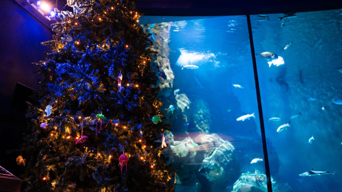 Christmas Market at the Aquarium