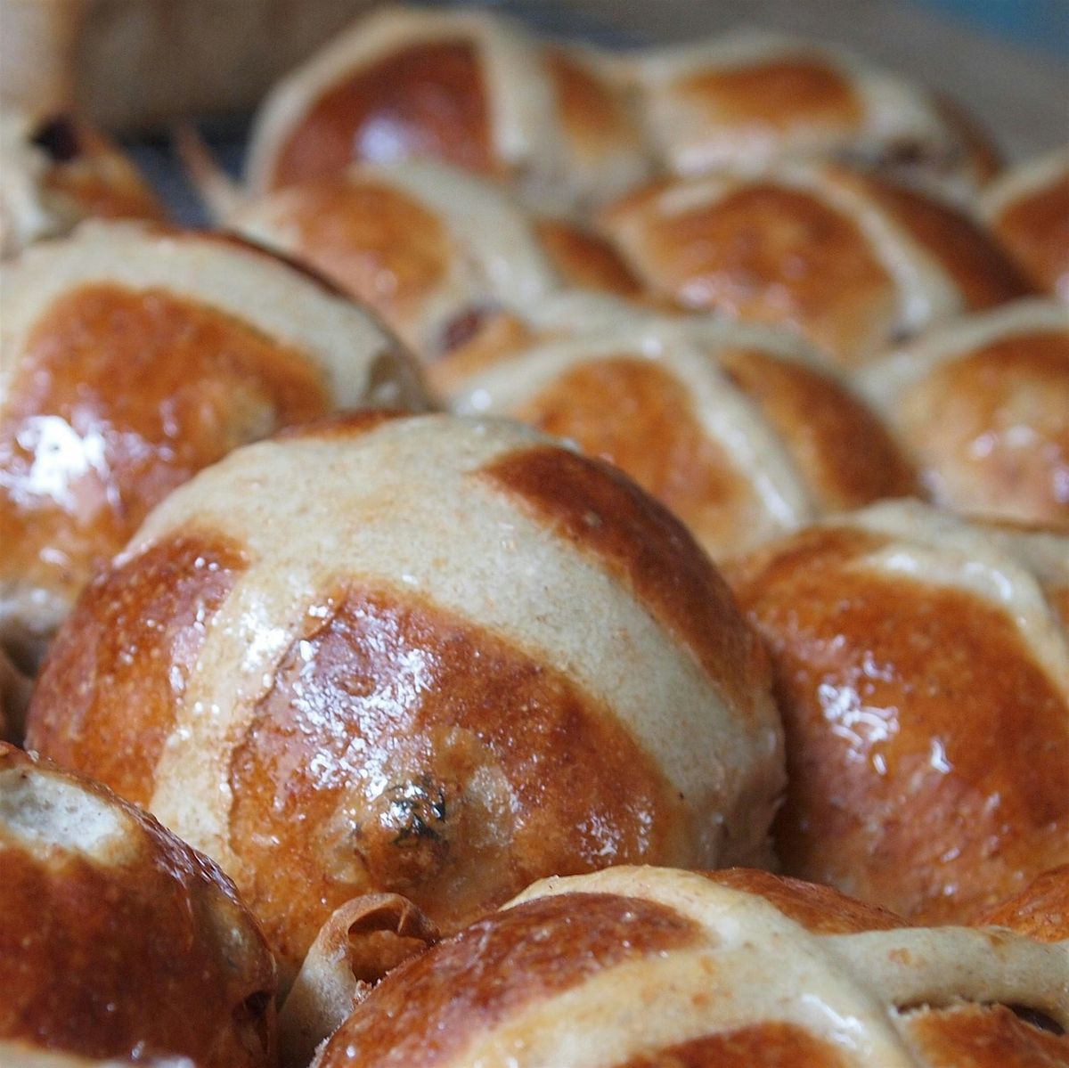 Hot Cross Buns