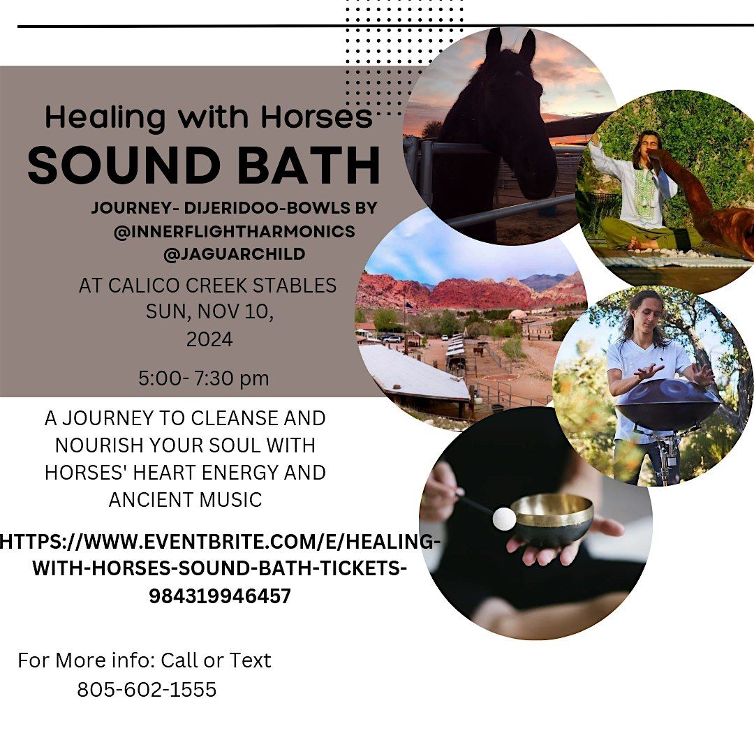 Healing With Horses Sound Bath