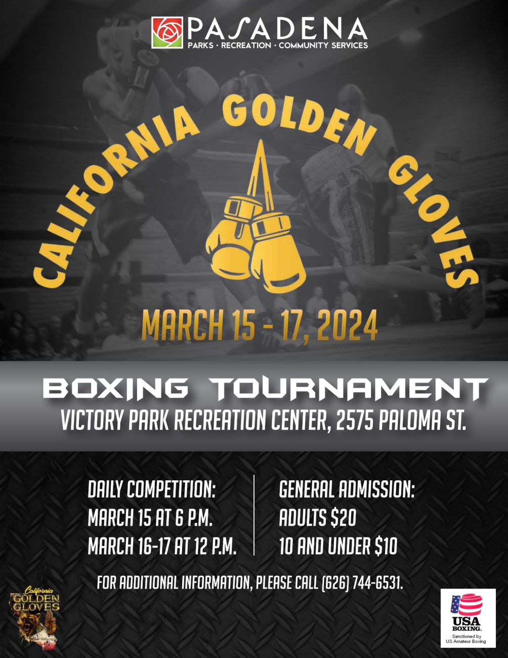 Golden Gloves Boxing