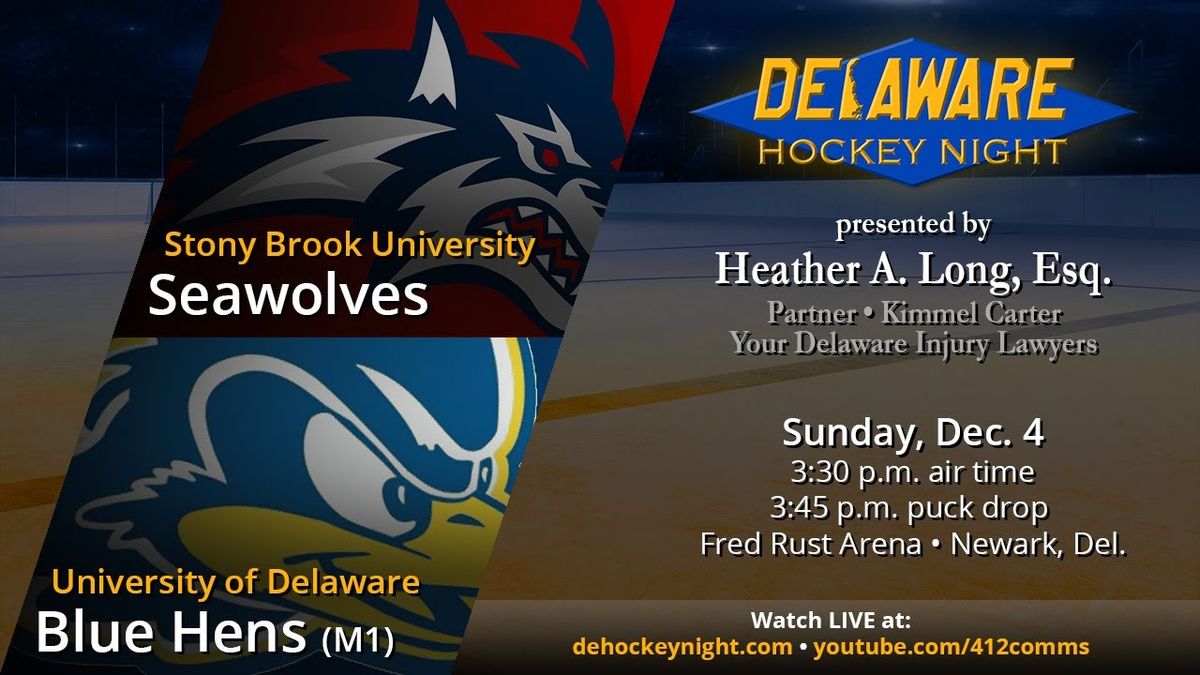 Delaware Blue Hens vs. Stony Brook Seawolves