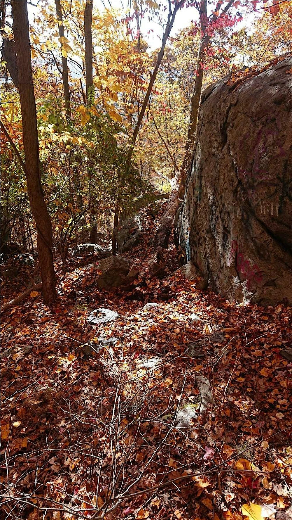 Bauer Rock Cleanup