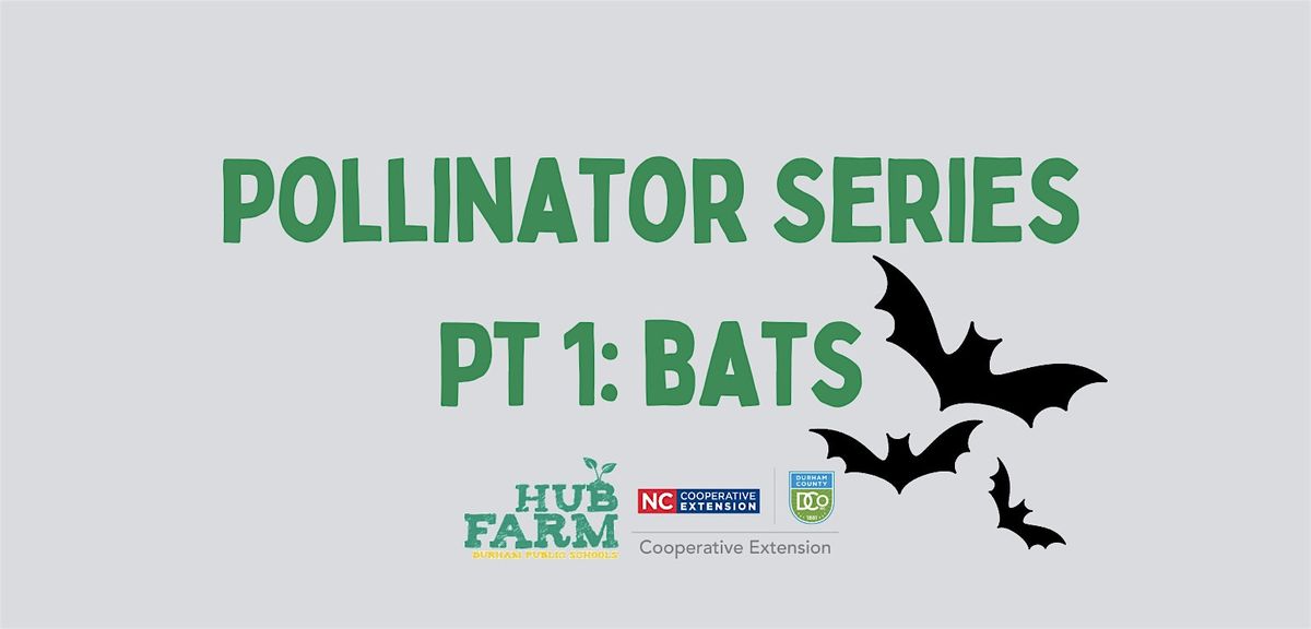 Pollinator Series Part 1: Bat Box Workshop