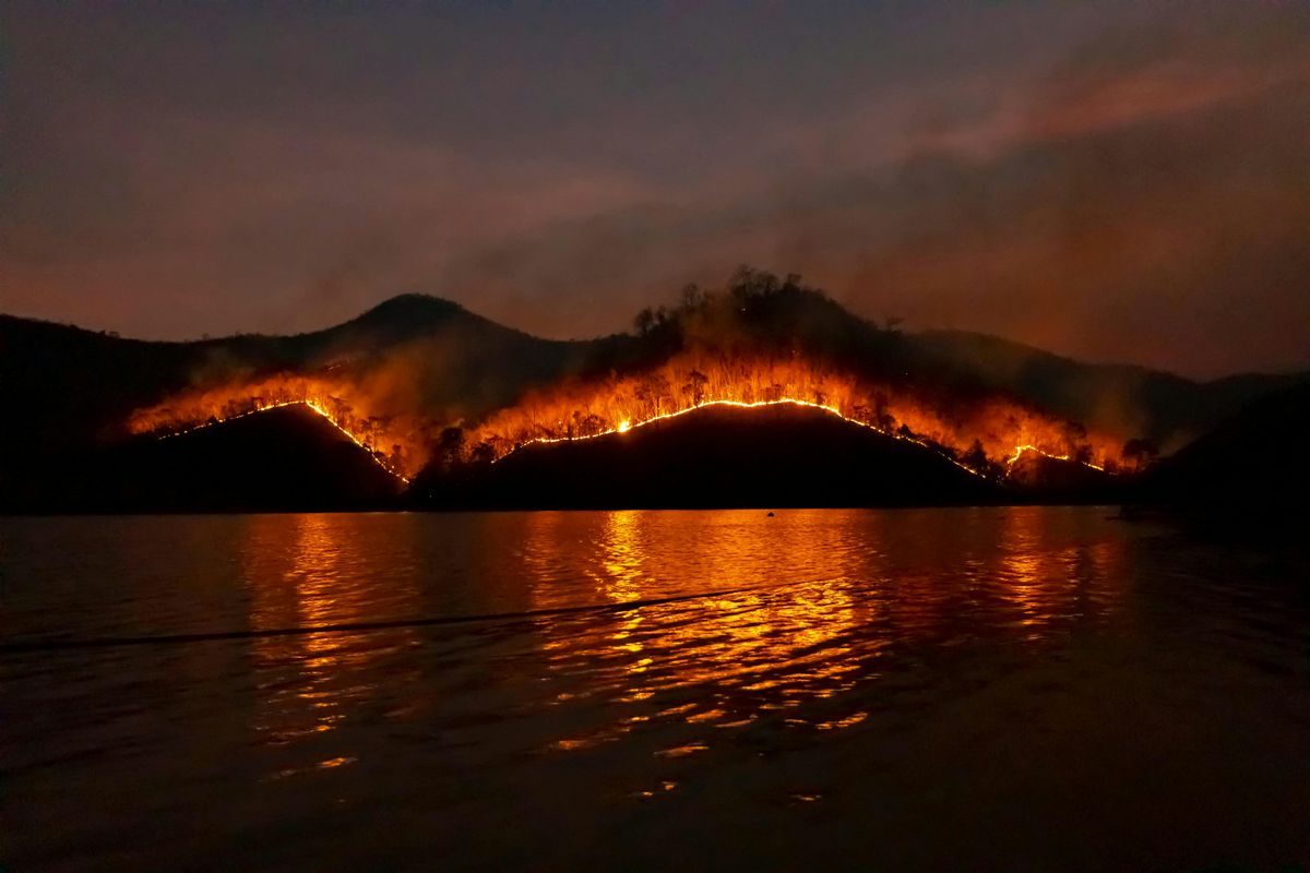 Lunch + Learn: Wildfire Mitigation in Southern Appalachia