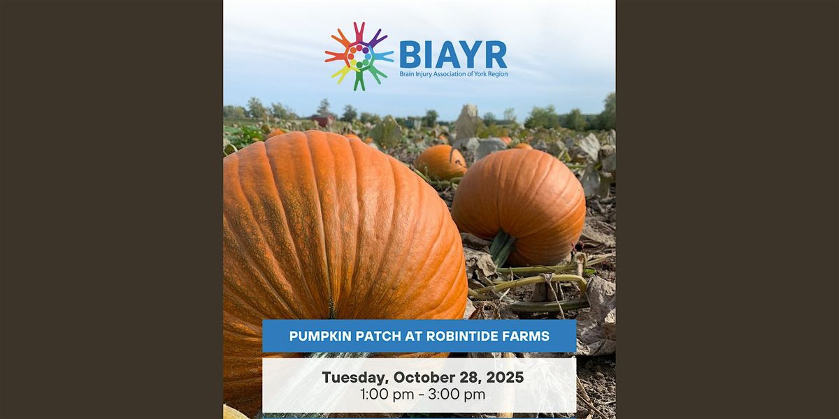 Pumpkin Patch at Robintide Farms