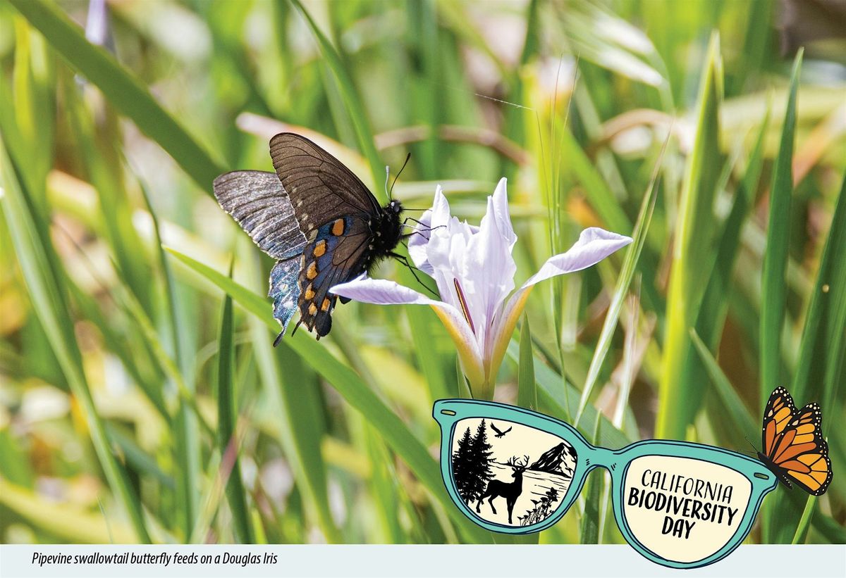 Biodiversity Day at the Leland Stanford Mansion