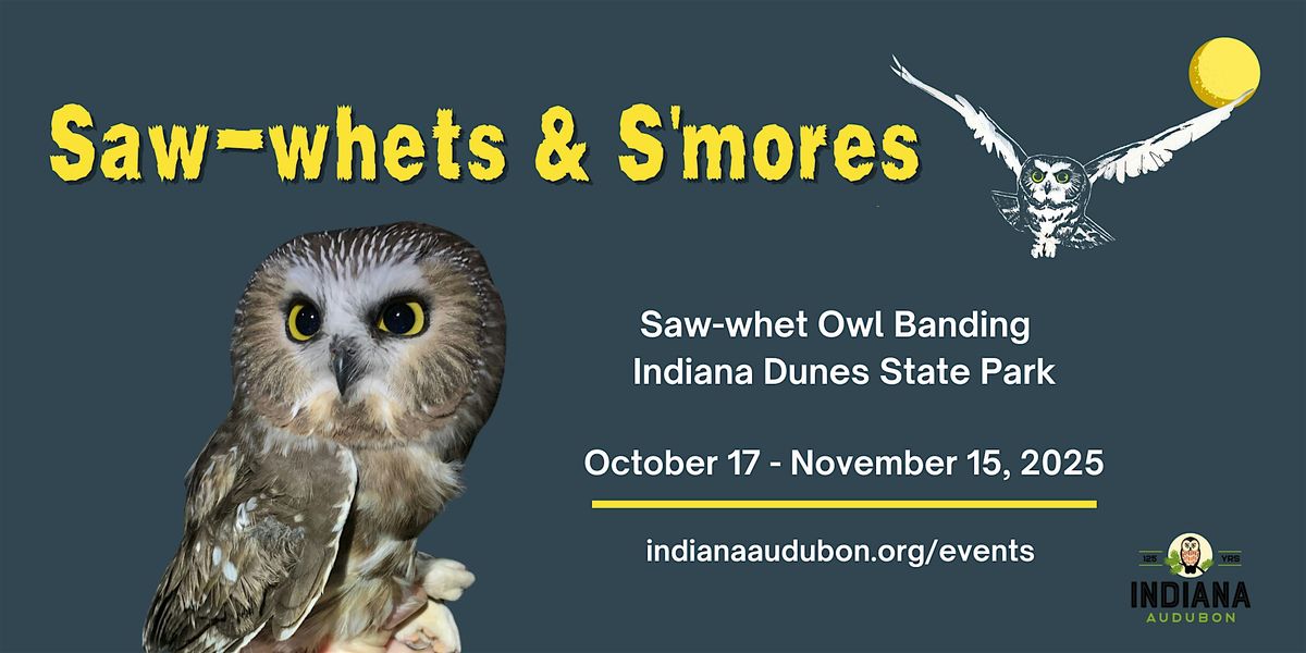Saw-Whets & S'mores: Indiana Dunes
