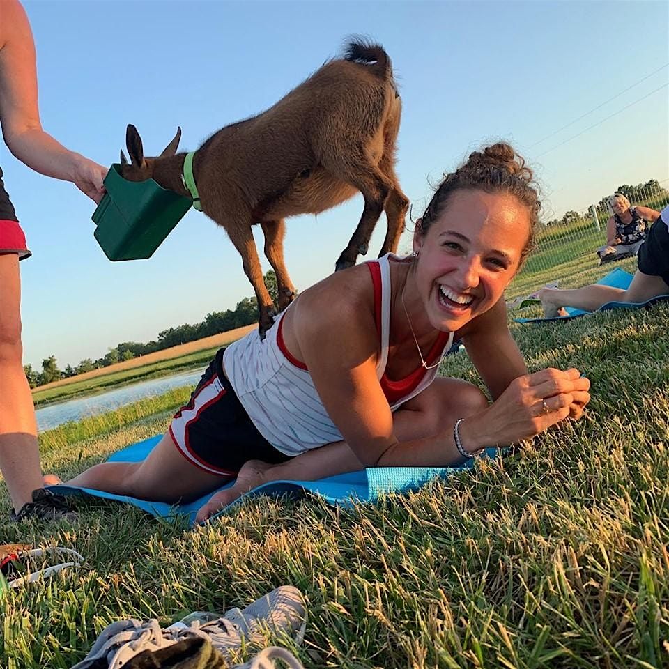 Goat Yoga at Logboat - Columbia, MO