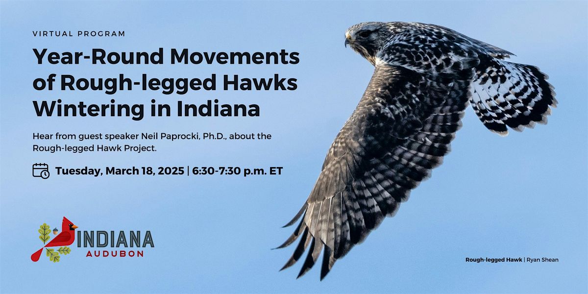 Year-Round Movements of Rough-legged Hawks Wintering in Indiana