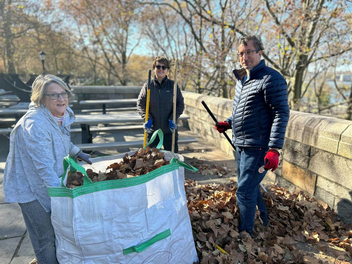 Riverside Park's Annual Leaf Lift - Palisades Playground