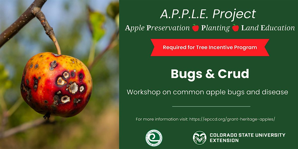 A.P.P.L.E. Project - Bugs & Crud Workshop