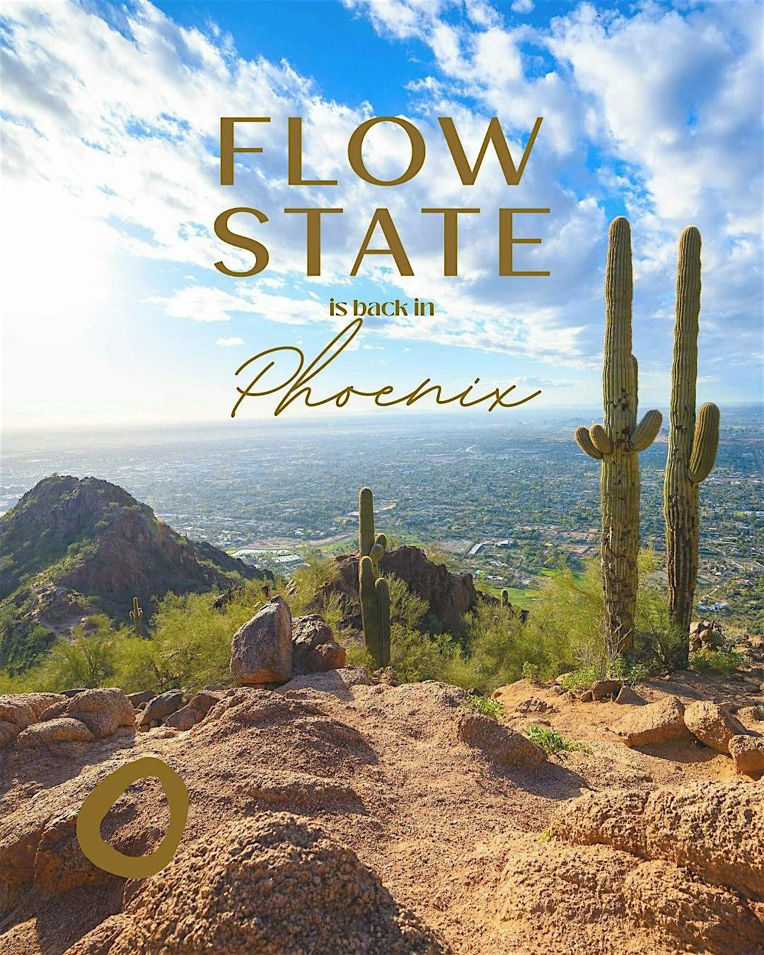 Flow State Wellness 60 minute Vinyasa