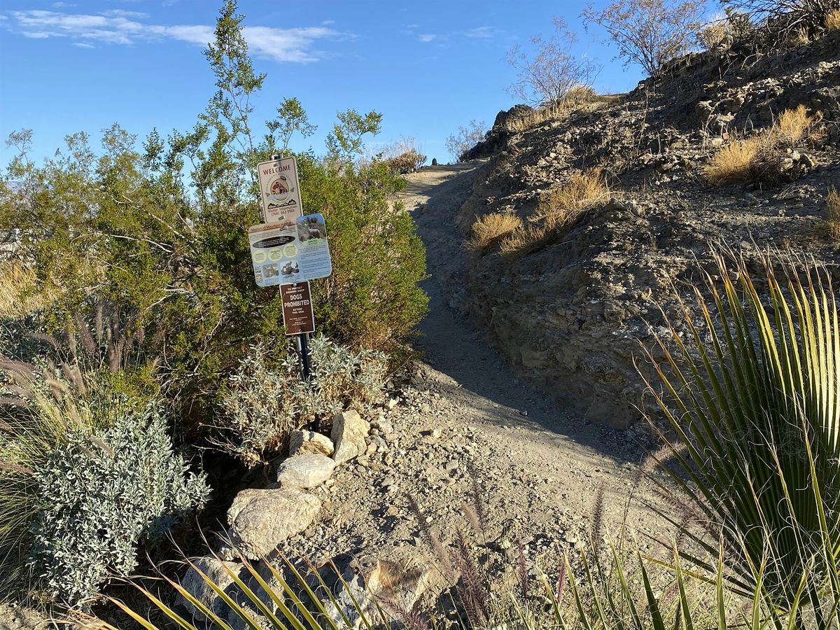 Earl Henderson Trail Hike