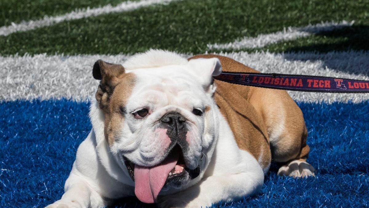 Nicholls State Colonels at Louisiana Tech Bulldogs Baseball