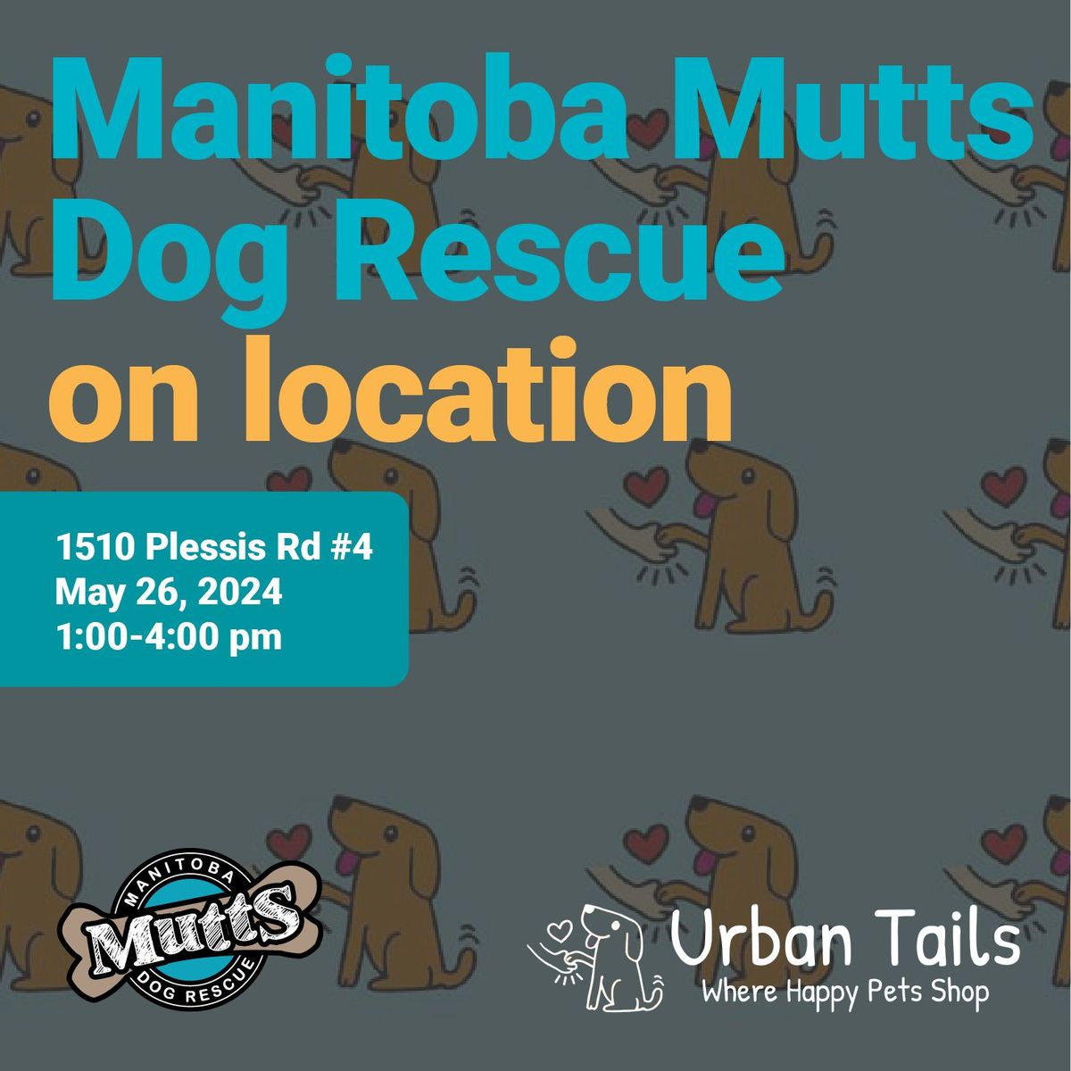 Manitoba Mutts Dog Rescue Adoption Event