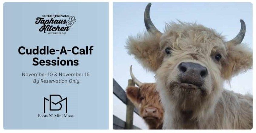 Cuddle-A-Calf at Sonder Brewing Taphaus & Kitchen - West Chester