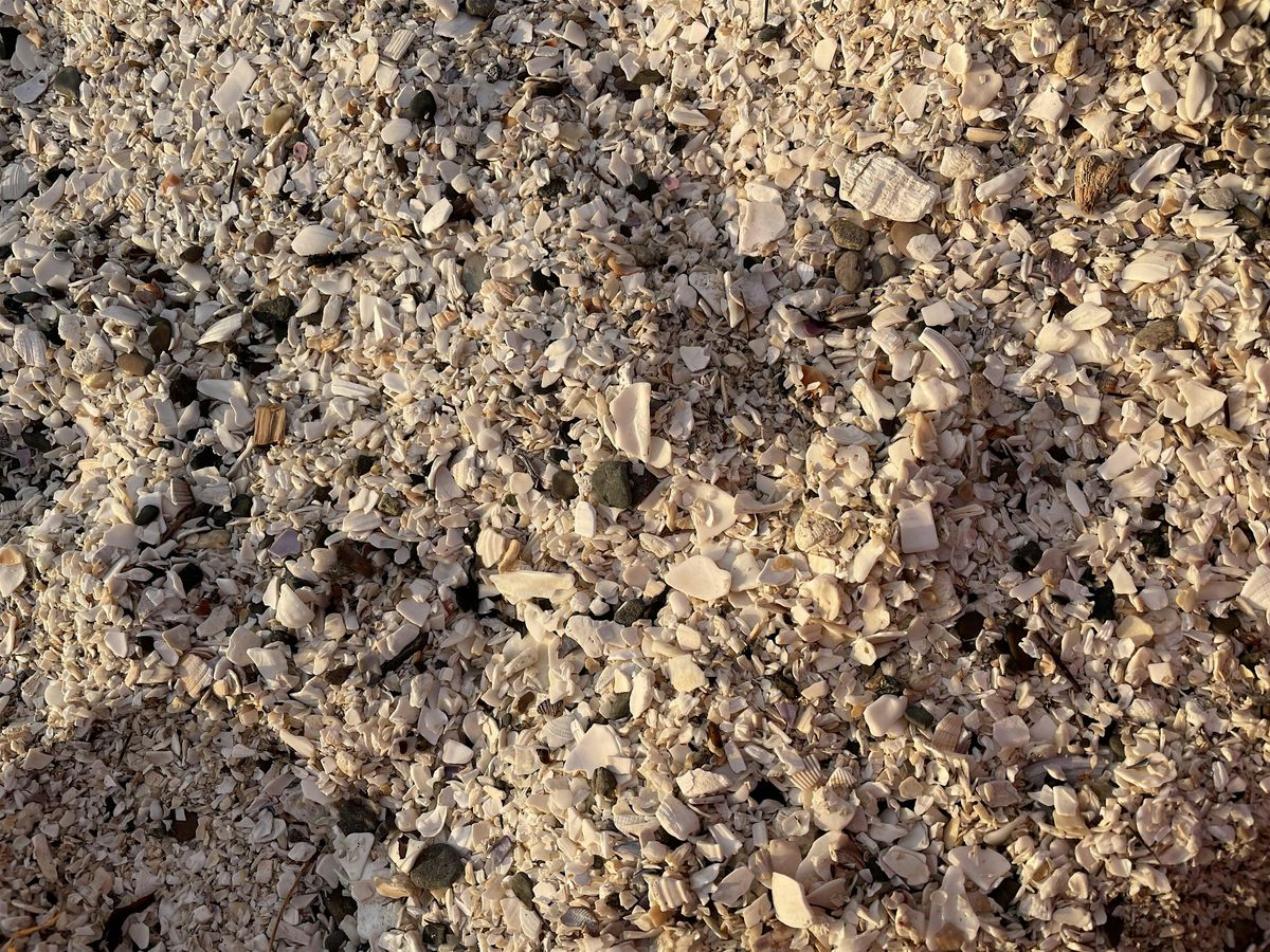 Death Caf\u00e9 + Free Writing Evening