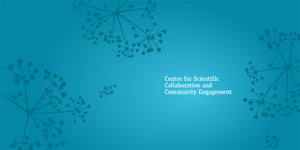 CSCCE Mini-workshops: Preparing & Designing for large-scale collaborations