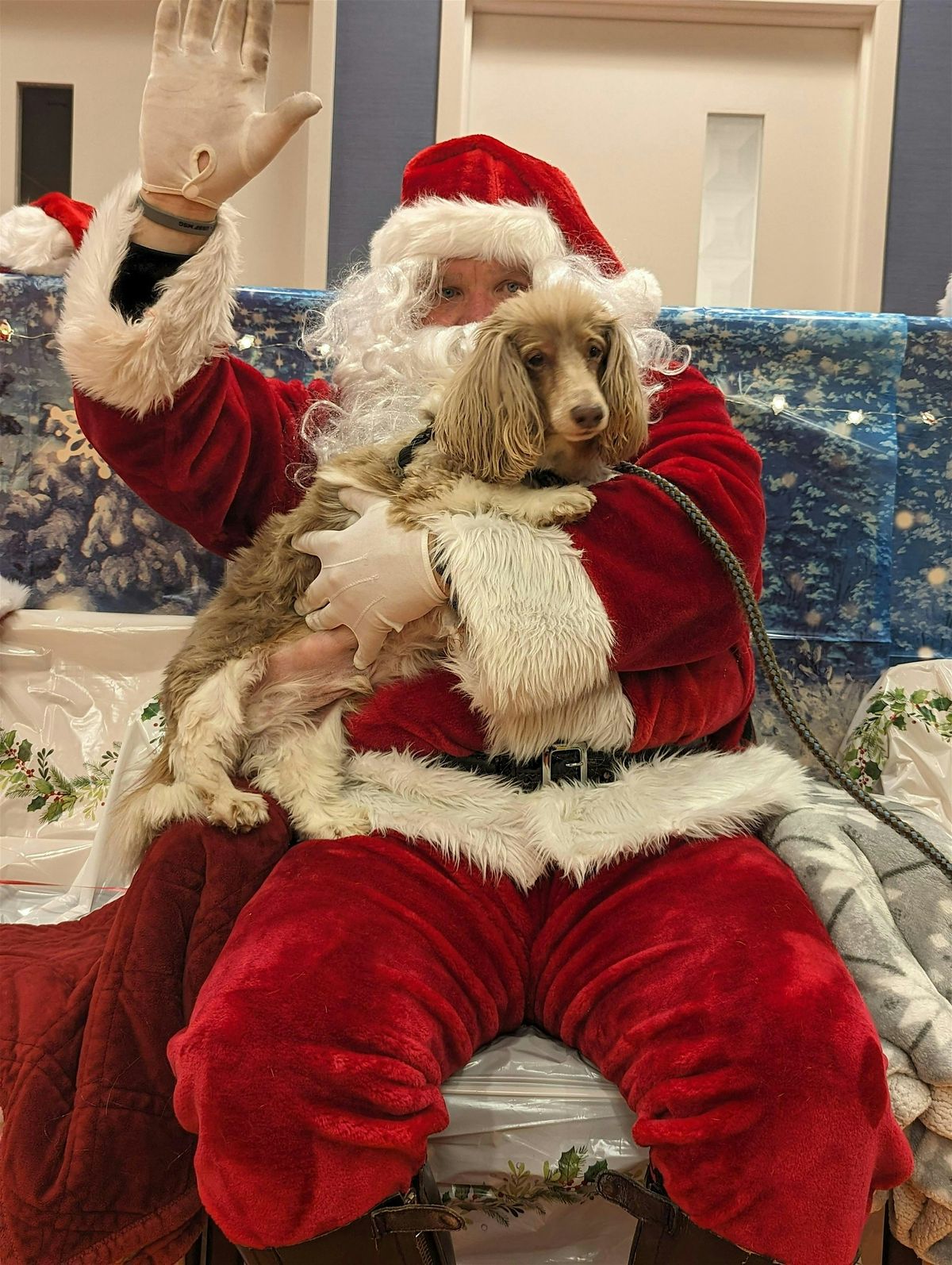 Pet Photos with Santa!