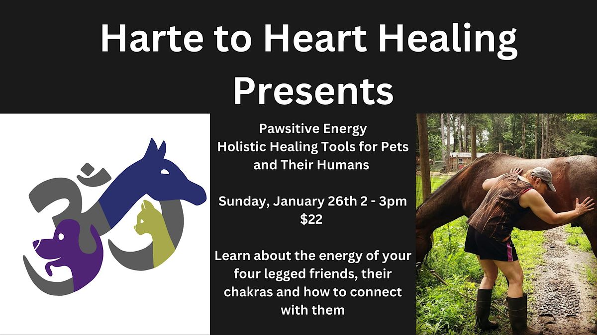 Pawsitive Energy, Holistic Healing Tools for Pets and Their Humans