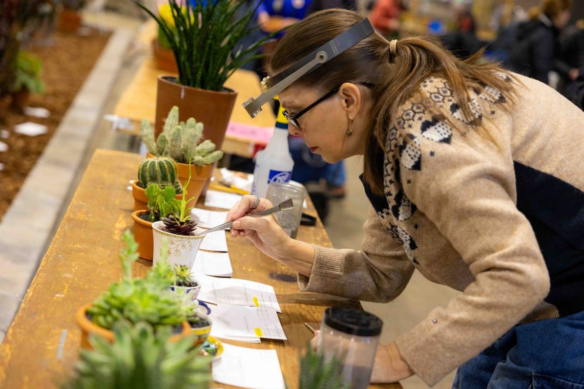 Grooming for the Gold: How to Groom Your Plants for Competition in the Hamilton Horticourt