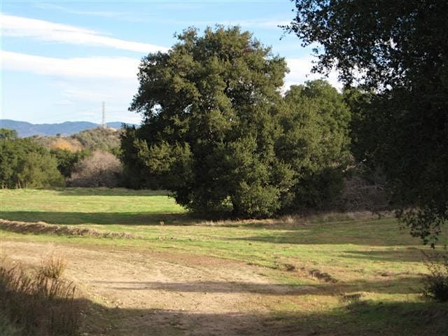 HHSCV AND HBSCV: Wildwood Open Space