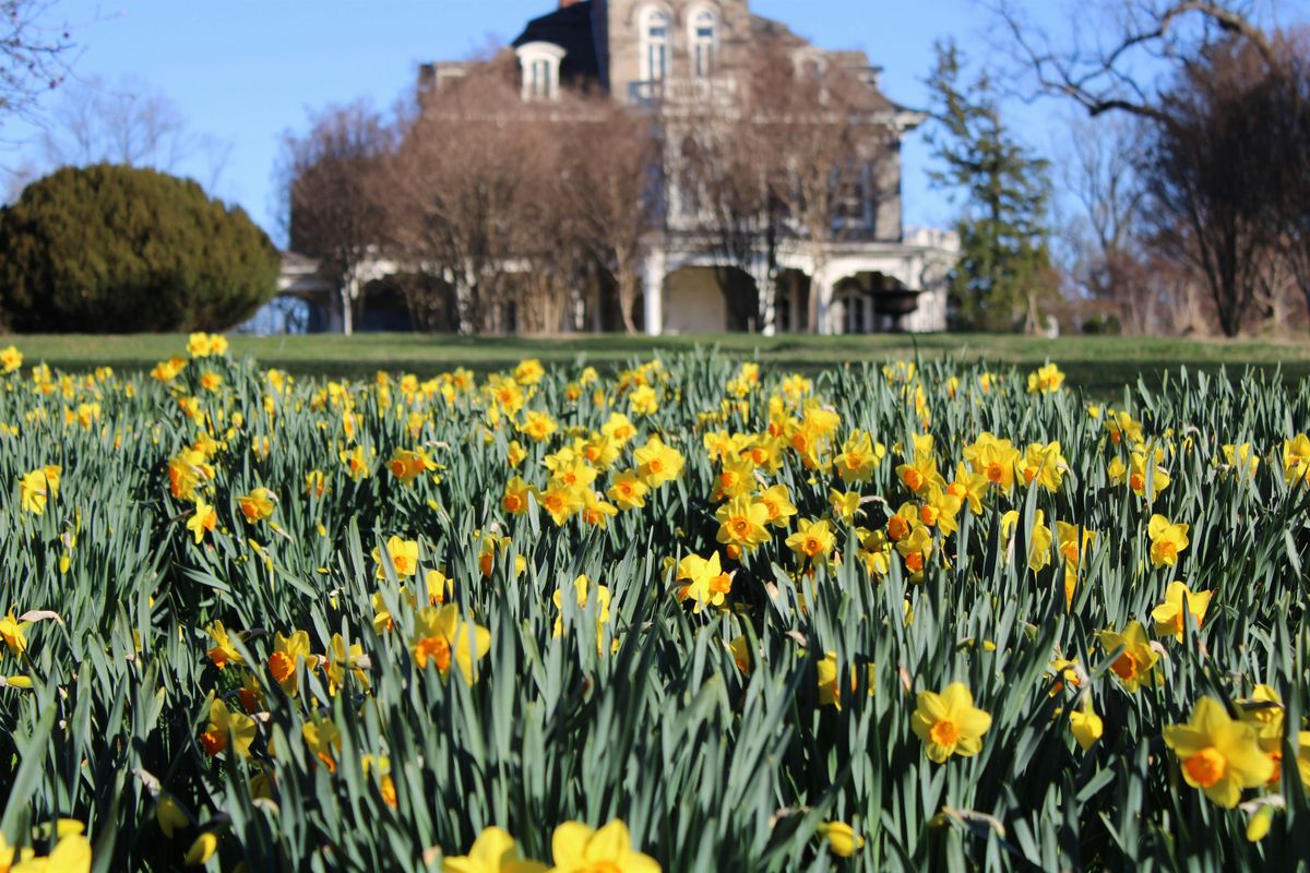 Gardener's Workshop: Gardening in the Early Spring