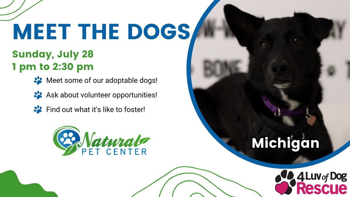 Meet the Dogs at Natural Pet Center 