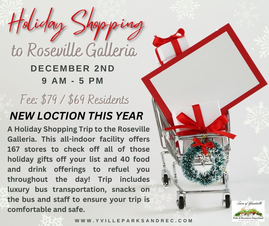 Holiday Shopping Trip to Roseville Galleria