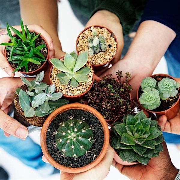 Sustainability Swap