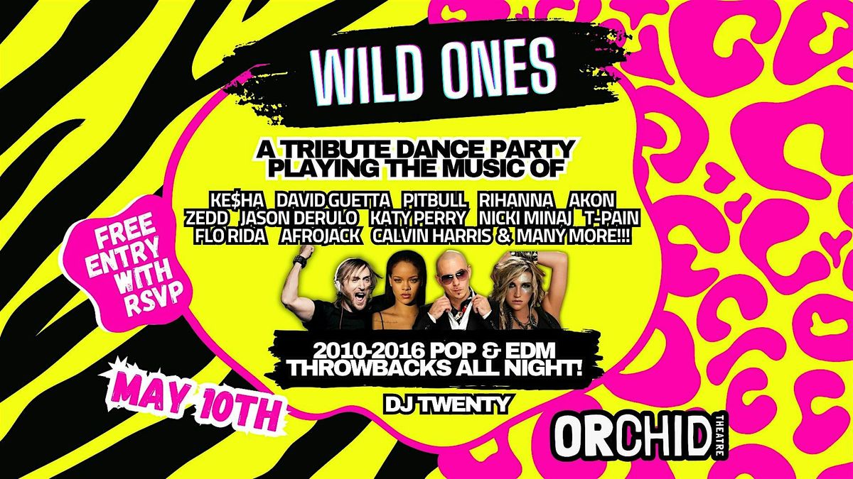 Wild Ones - 2010's Pop & EDM Tribute Dance Party